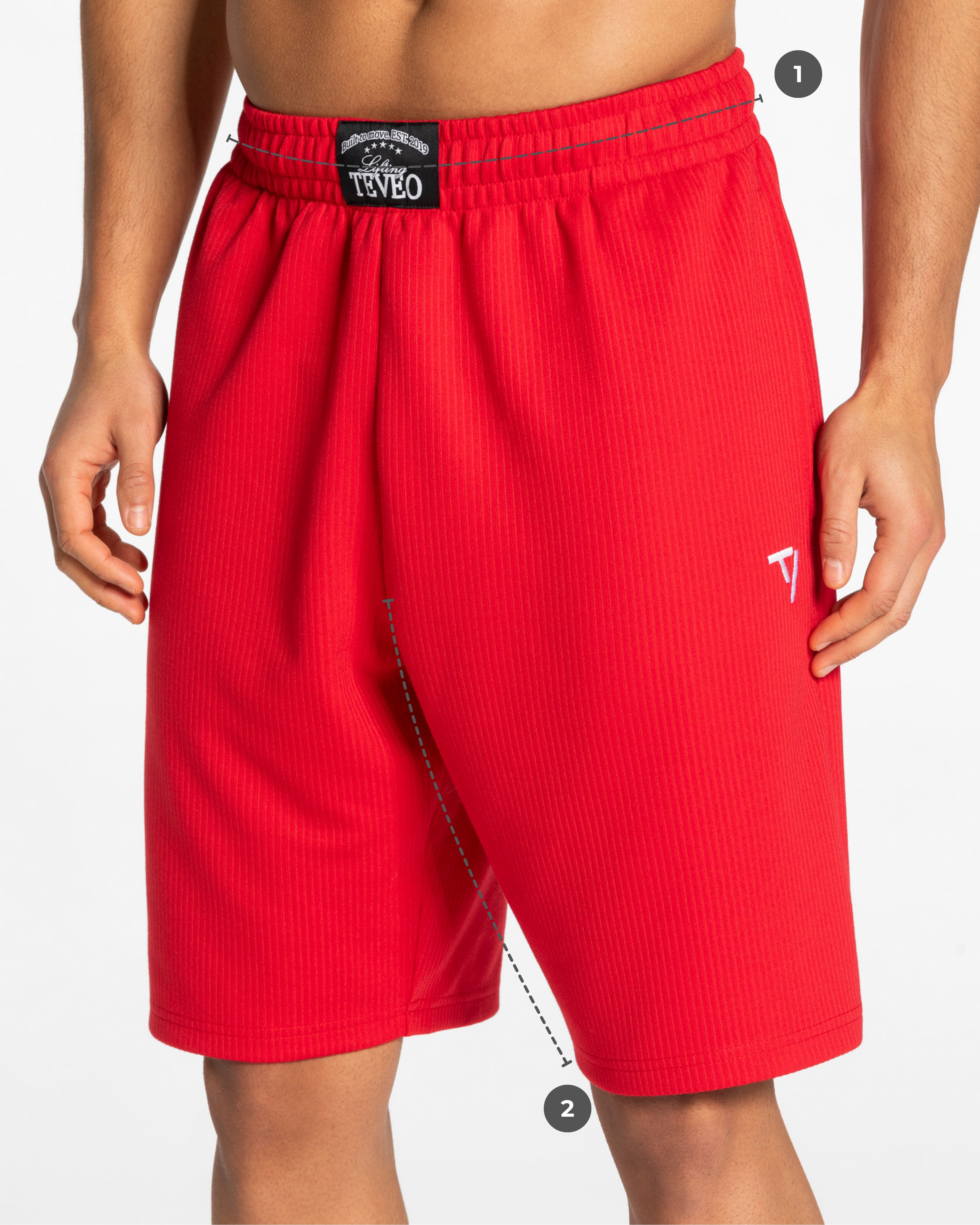 Lift Shorts 