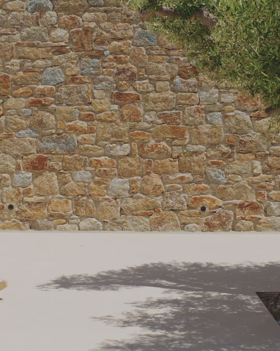 Giacca con zip Shaping Allrounder "Pois su fondo rosa"